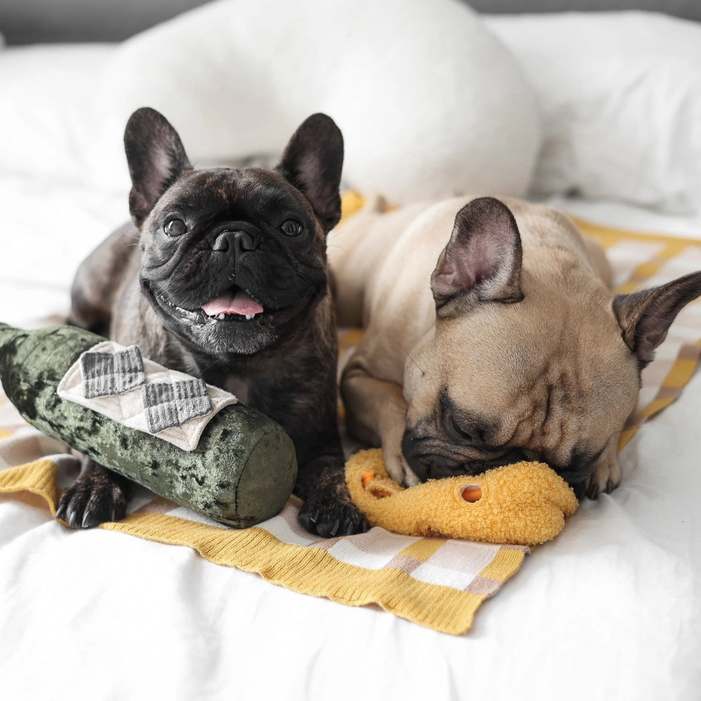 Cheese Enrichment Toy