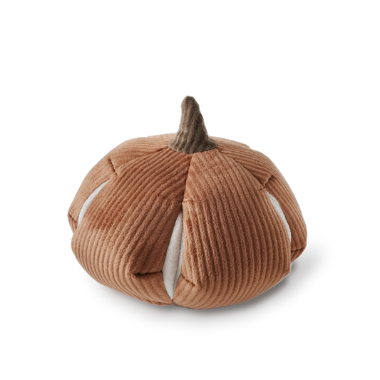 Pumpkin Enrichment Toy