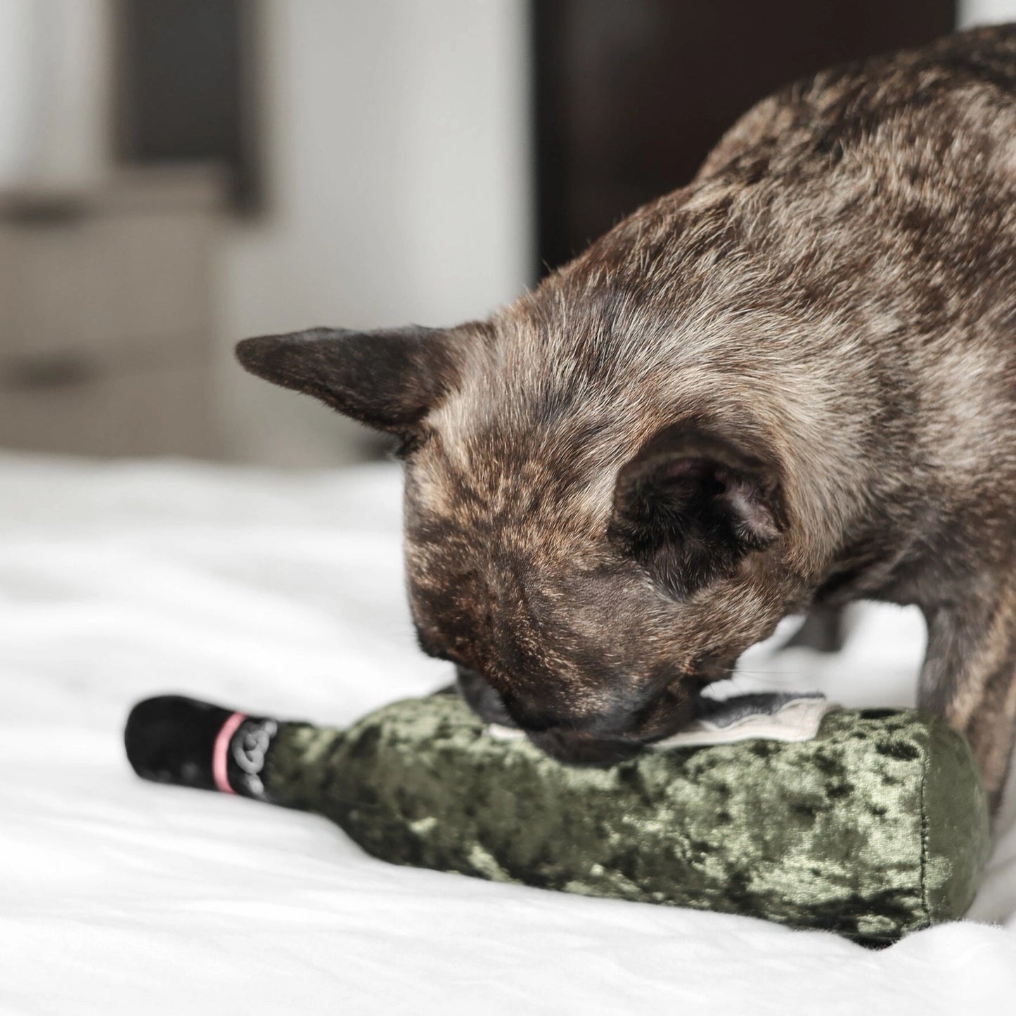 Wine Enrichment Toy