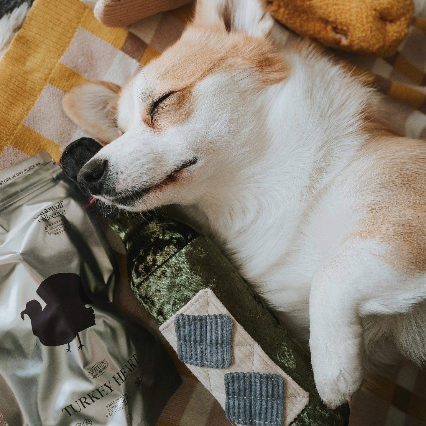 Wine Enrichment Toy