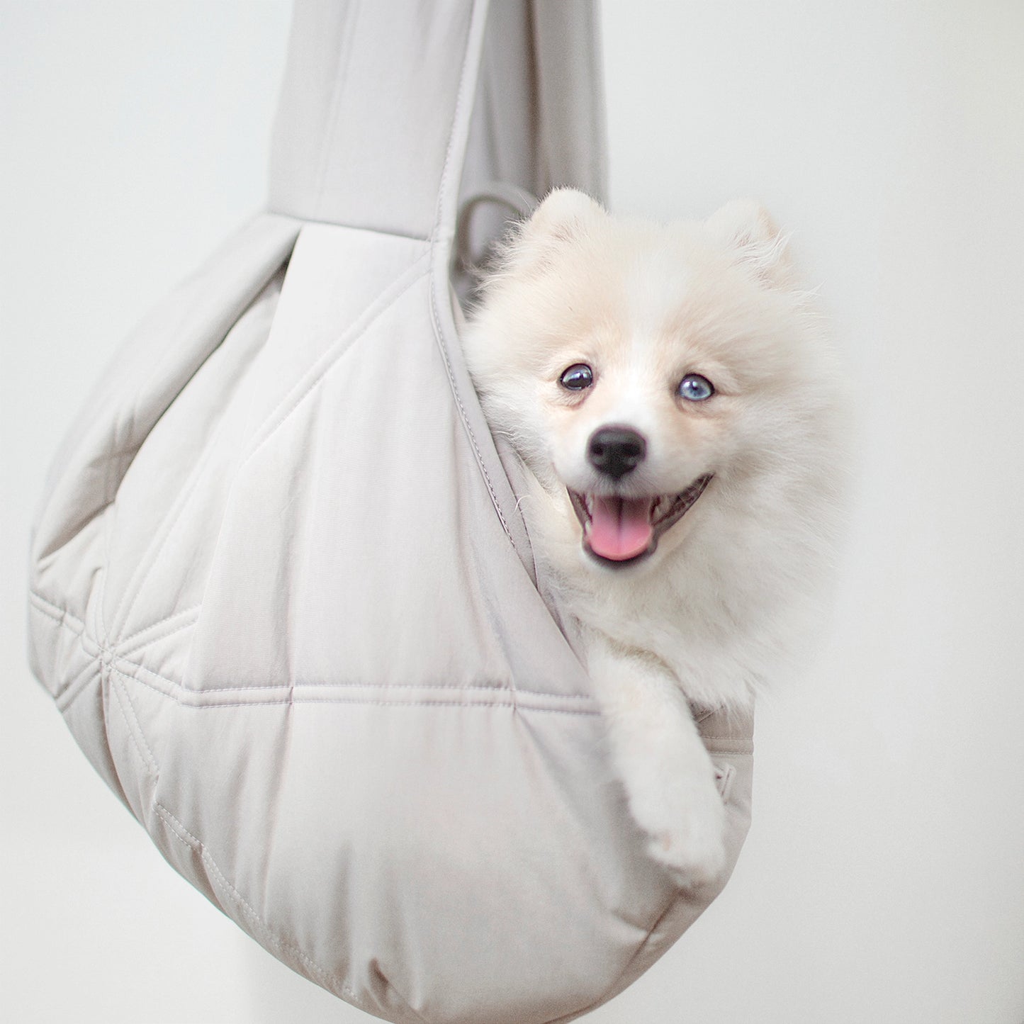 Small Breed Carrycot