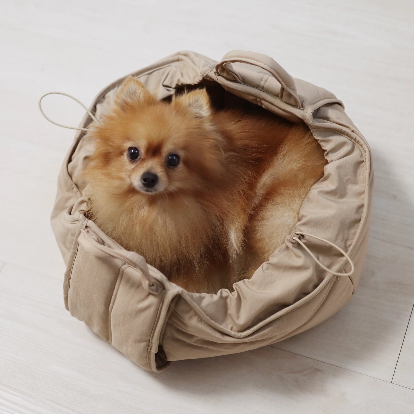 Small Breed Carrycot