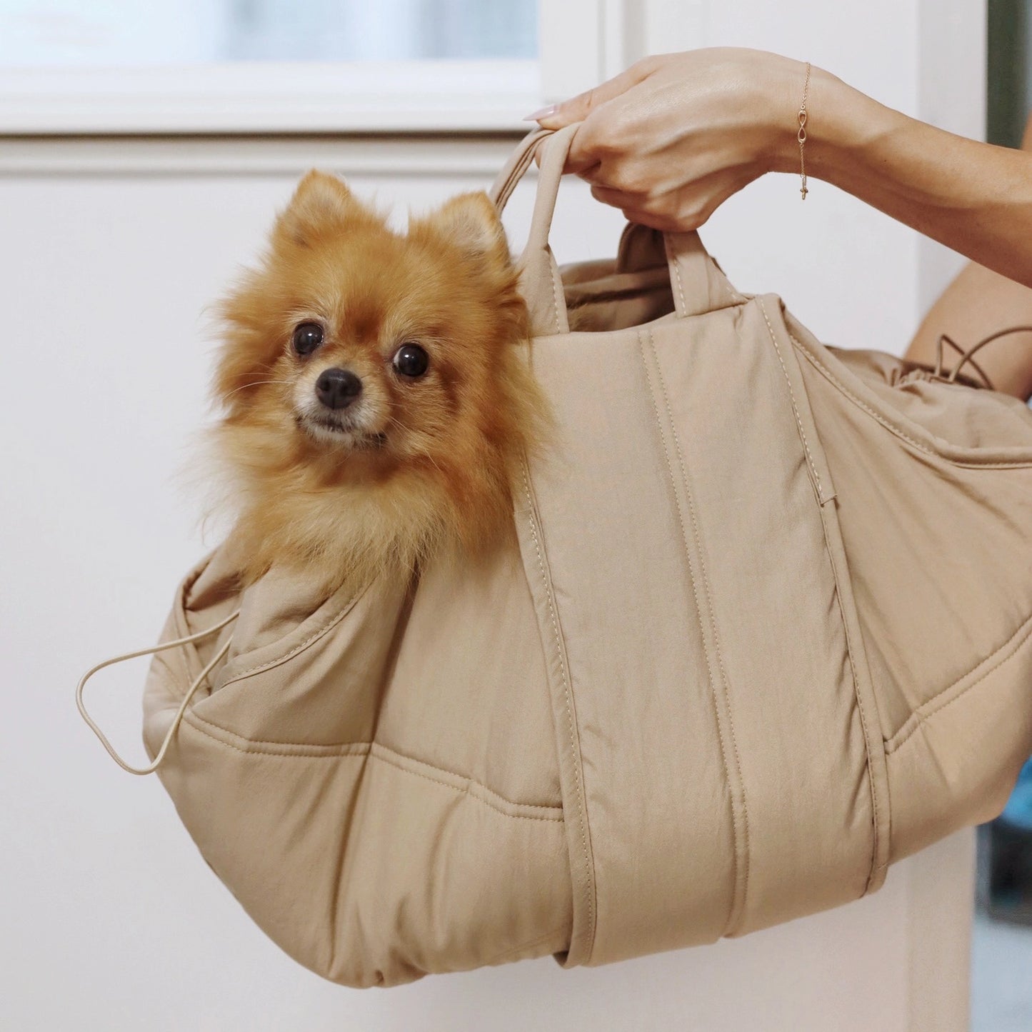 Small Breed Carrycot