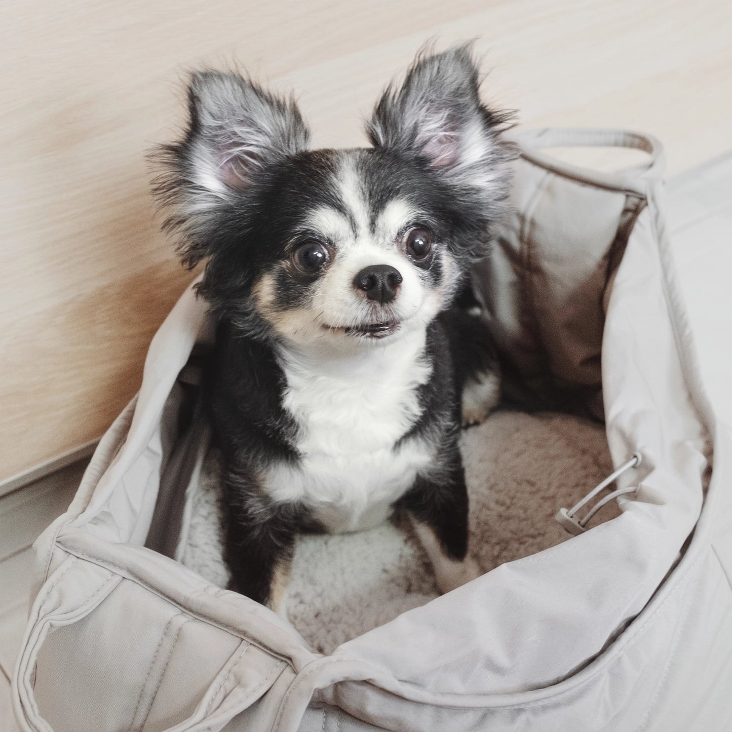 Small Breed Carrycot