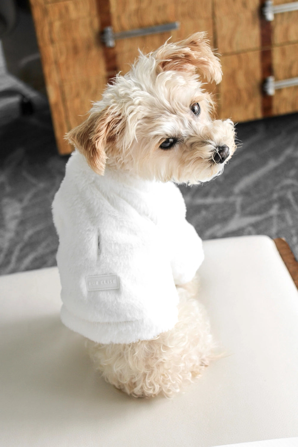 Furi Coat | Bone