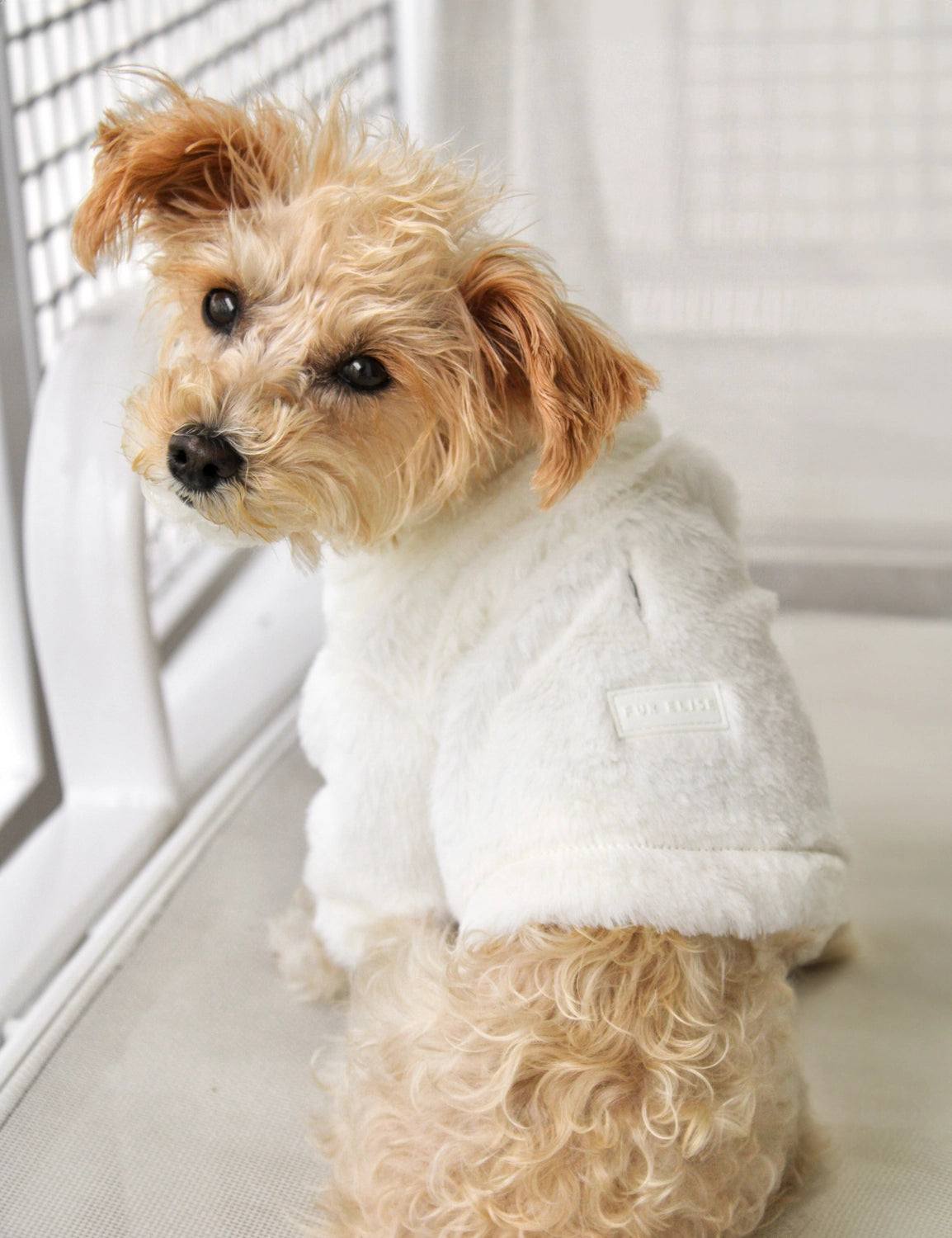 Furi Coat | Bone