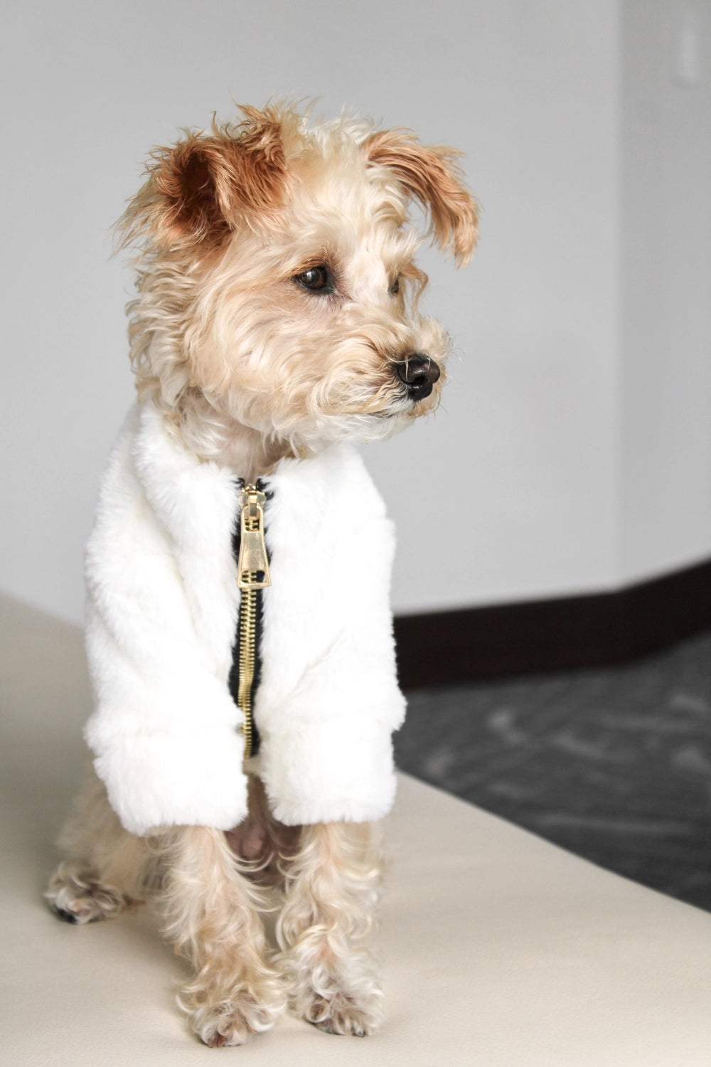 Furi Coat | Bone
