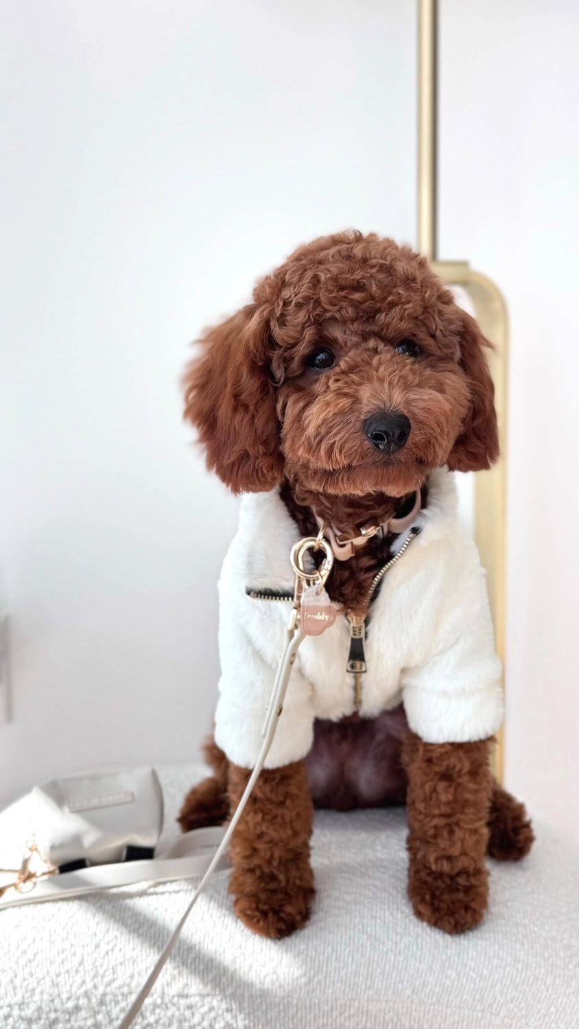 Furi Coat | Bone