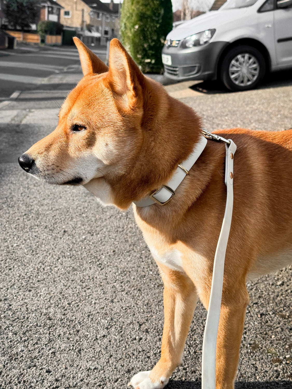 Elise Collar | Bone