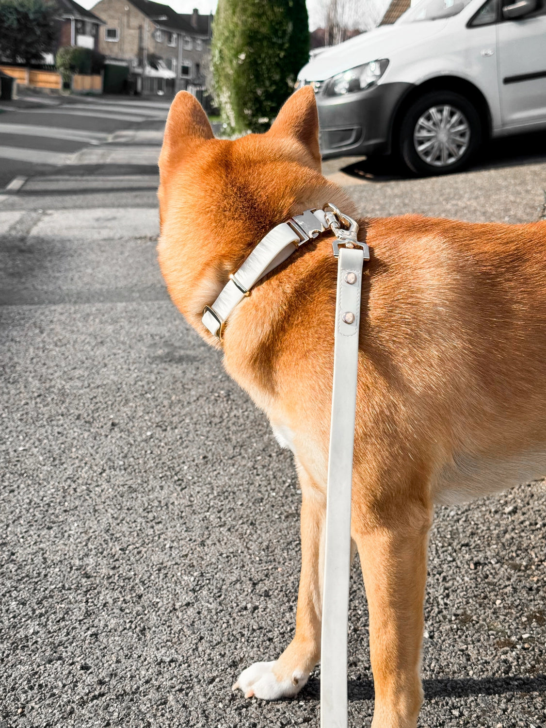 Elise Collar | Bone