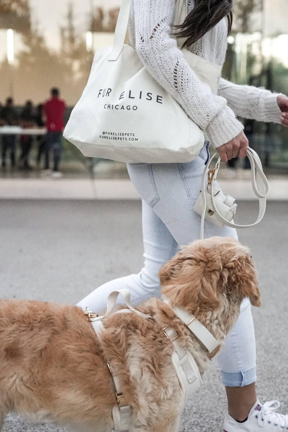 Elise Leash | Bone