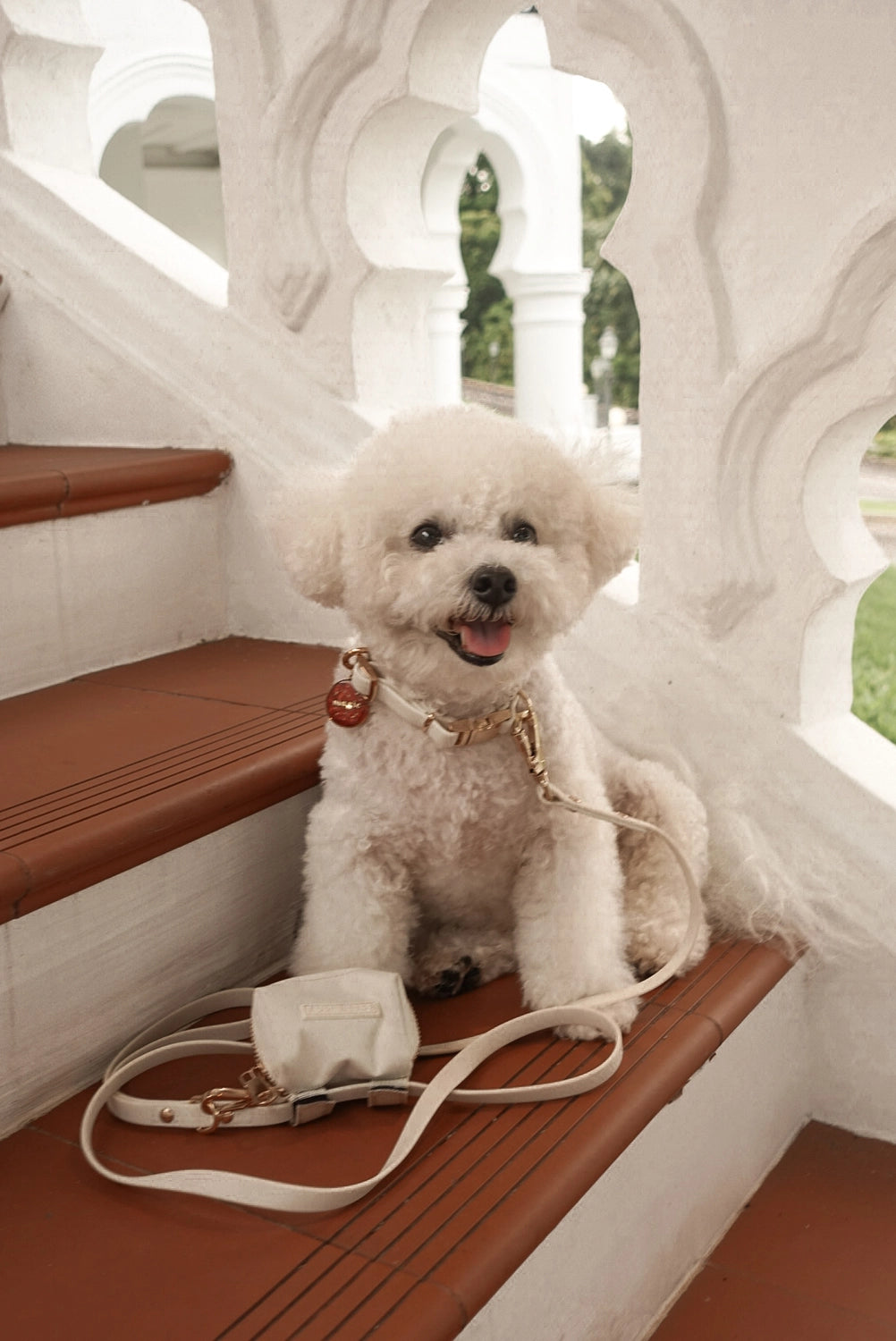 Elise Leash | Bone