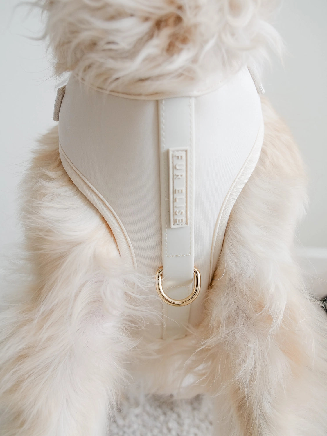 Elise Harness | Bone