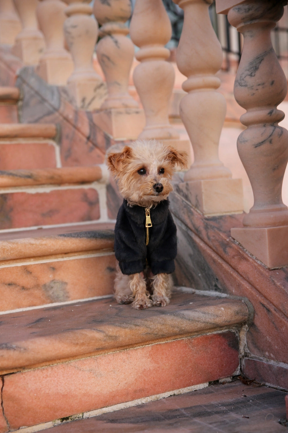 Furi Coat | Black