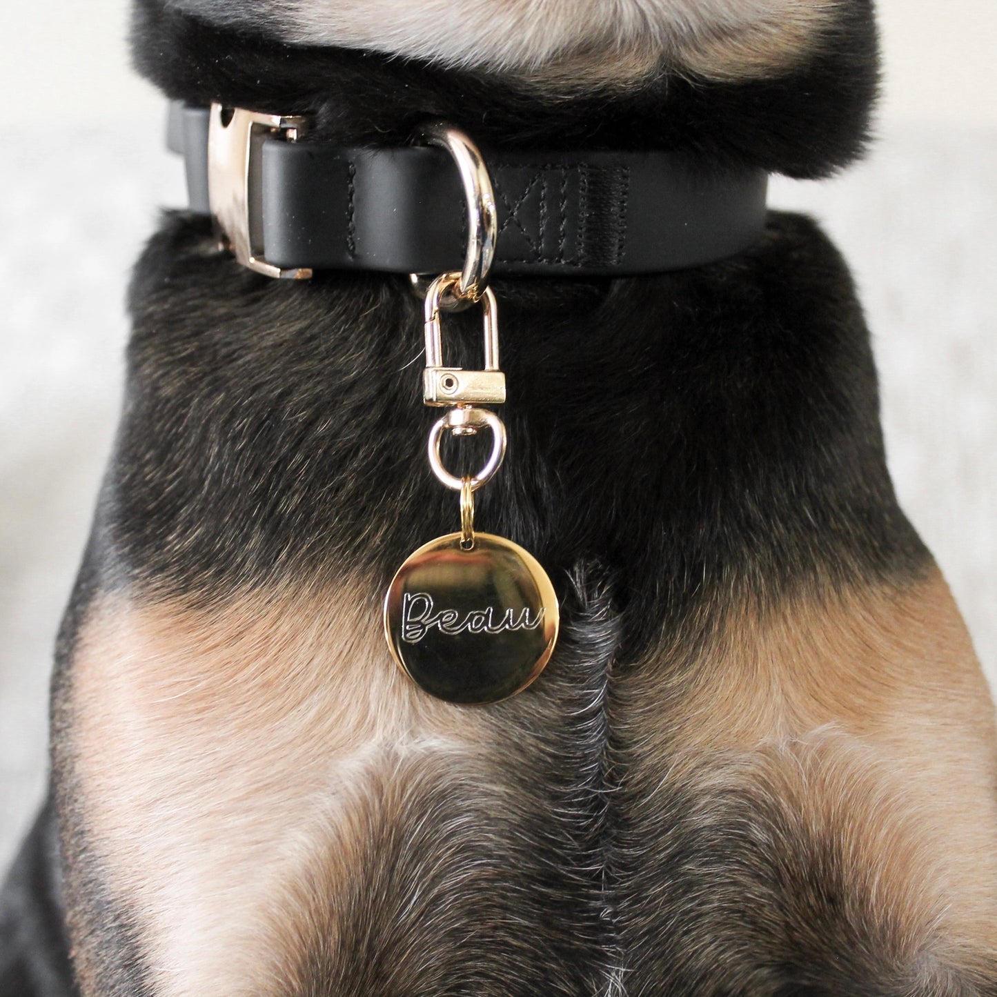 Elise Collar | Black