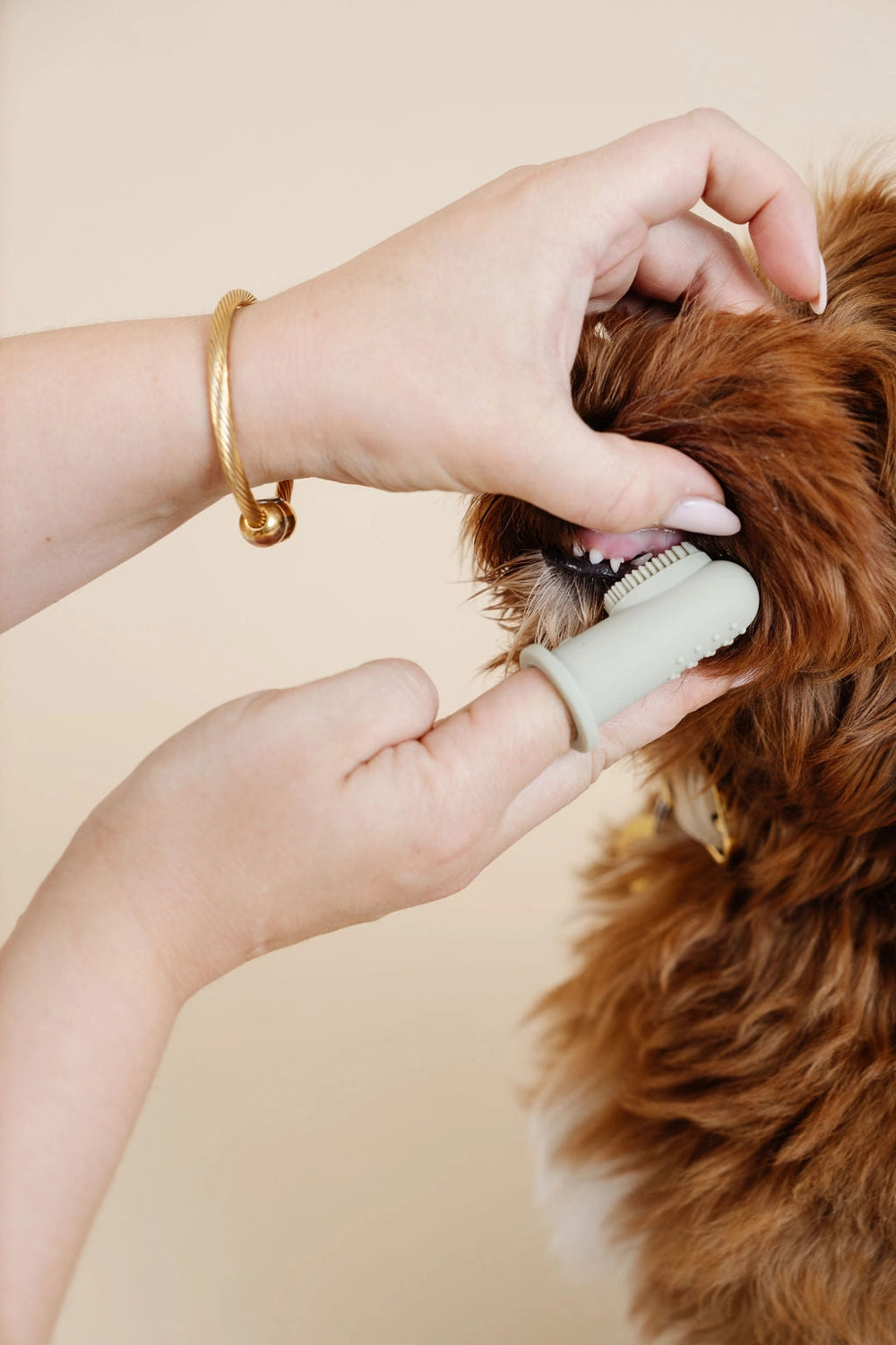 Finger Toothbrush