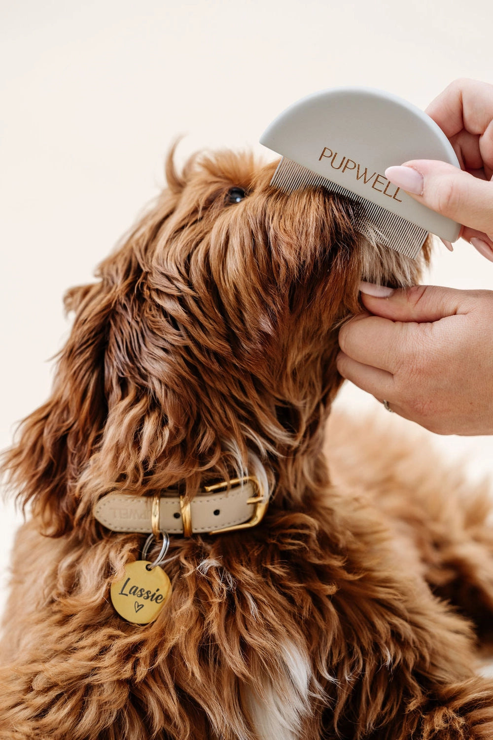 Detailed Comb