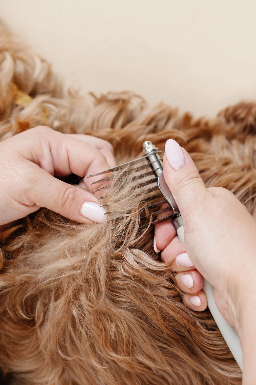 Detangler Comb