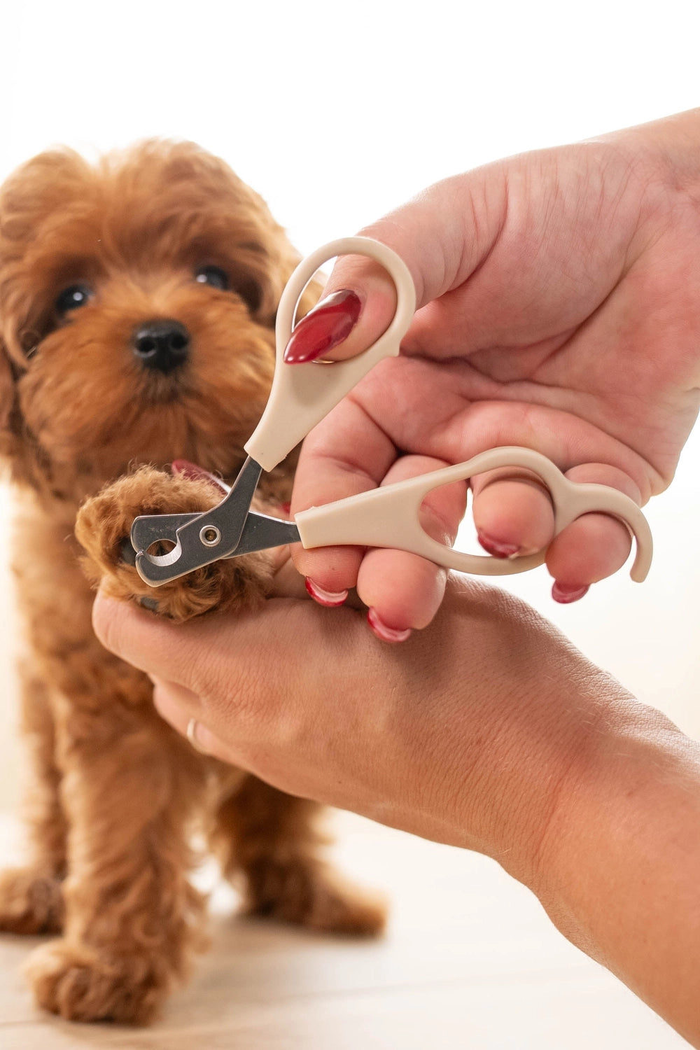 Mini Nail Clippers