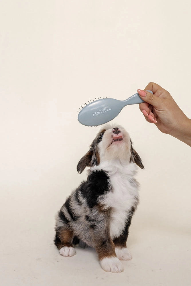 Gentle Detangling Brush