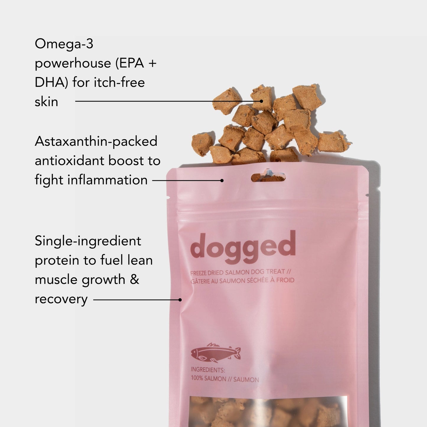 Freeze-Dried Salmon Treat