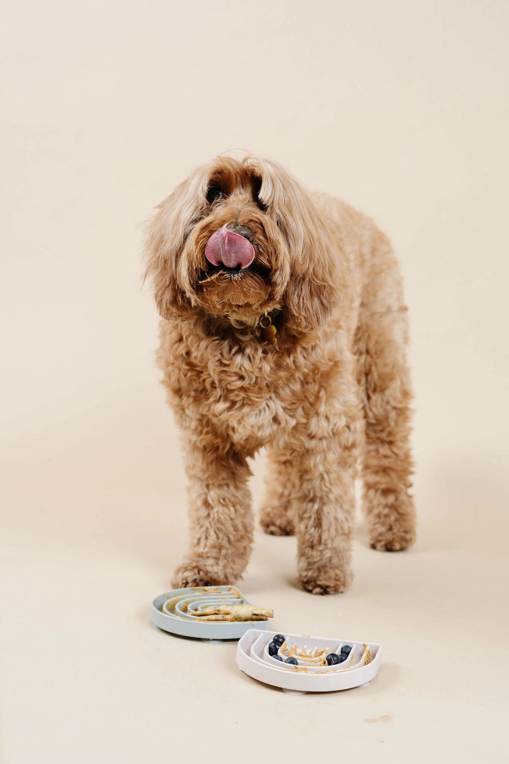 Lick Mat & Slow Feeder | Blue