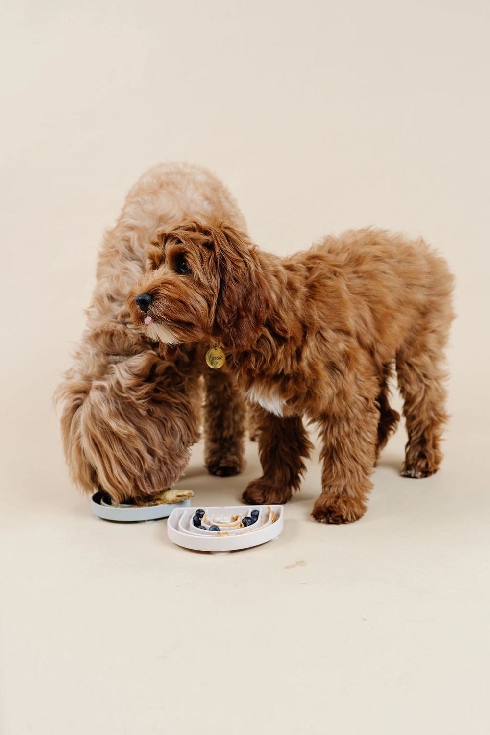 Lick Mat & Slow Feeder | Blue