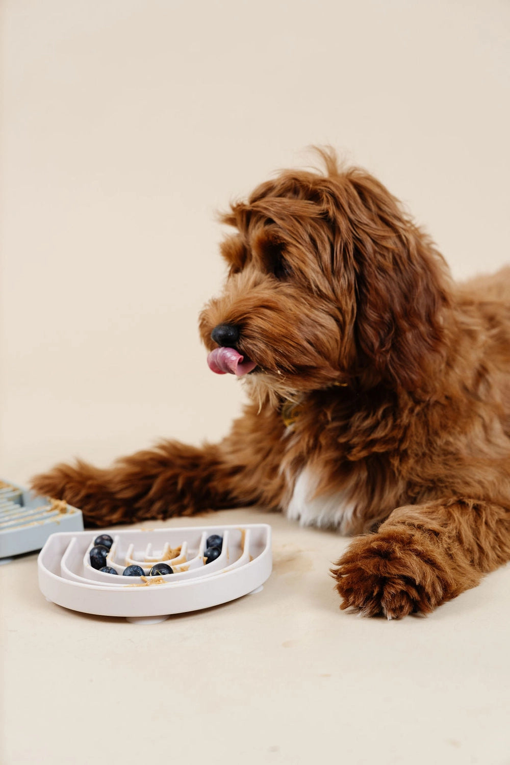 Lick Mat & Slow Feeder | Blue