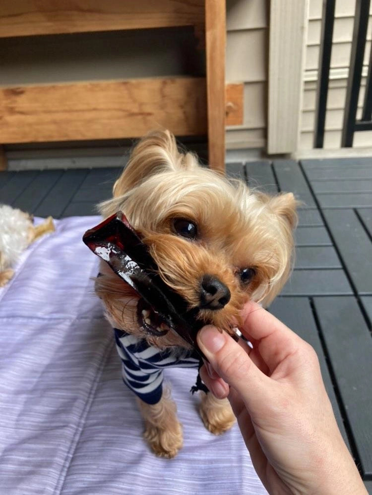 Collagen Dental Chew | Beef Liver