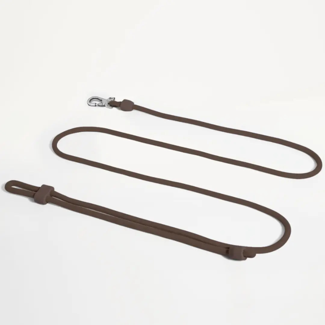 Hands-Free Leash | Cocoa