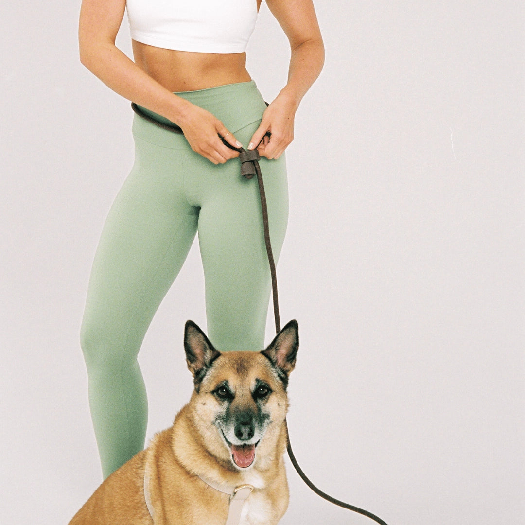 Hands-Free Leash | Cocoa