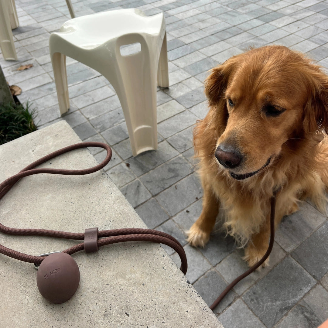 Treat Pouch | Cocoa