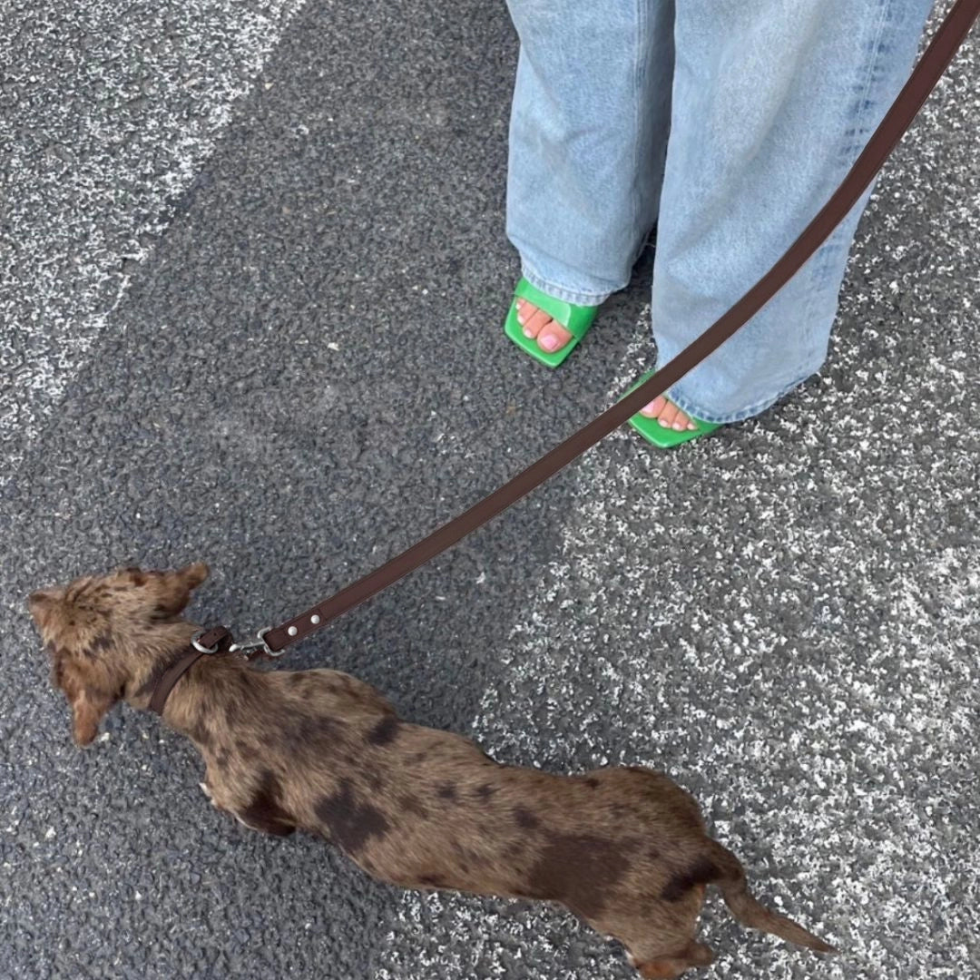 Leash | Cocoa