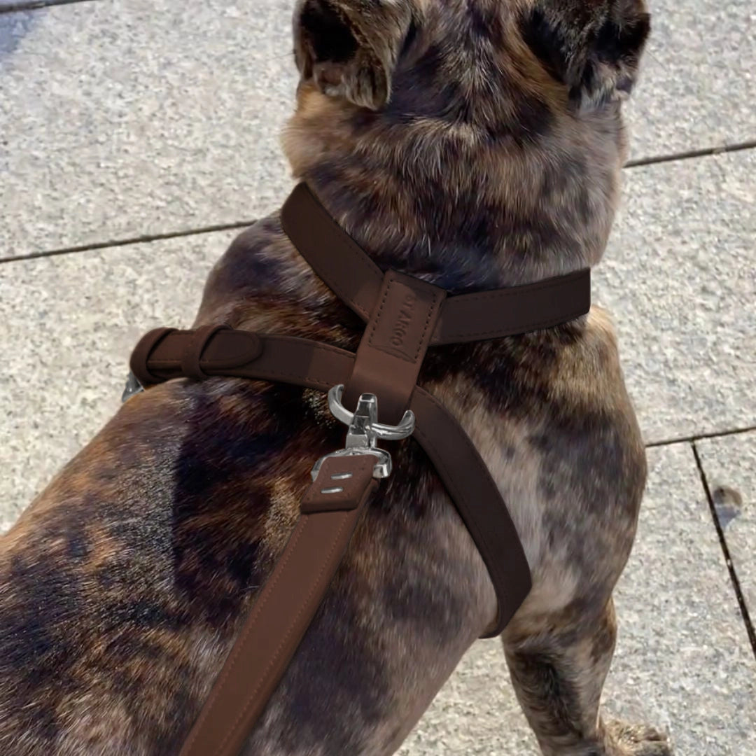 Harness | Cocoa