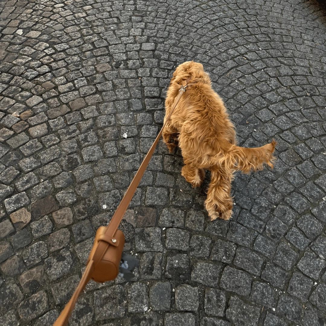 Bag Holder | Caramel