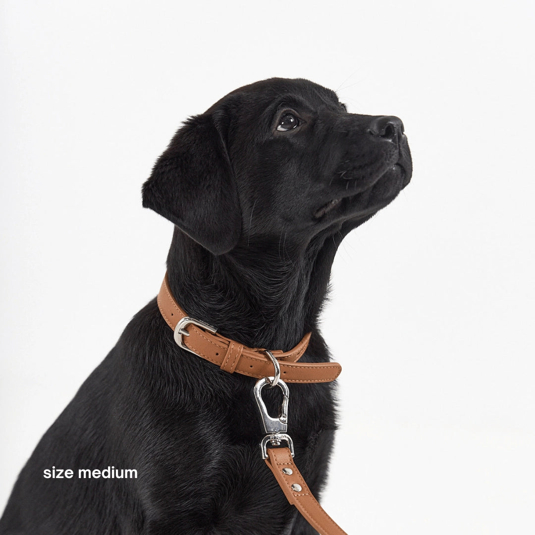 Collar | Caramel