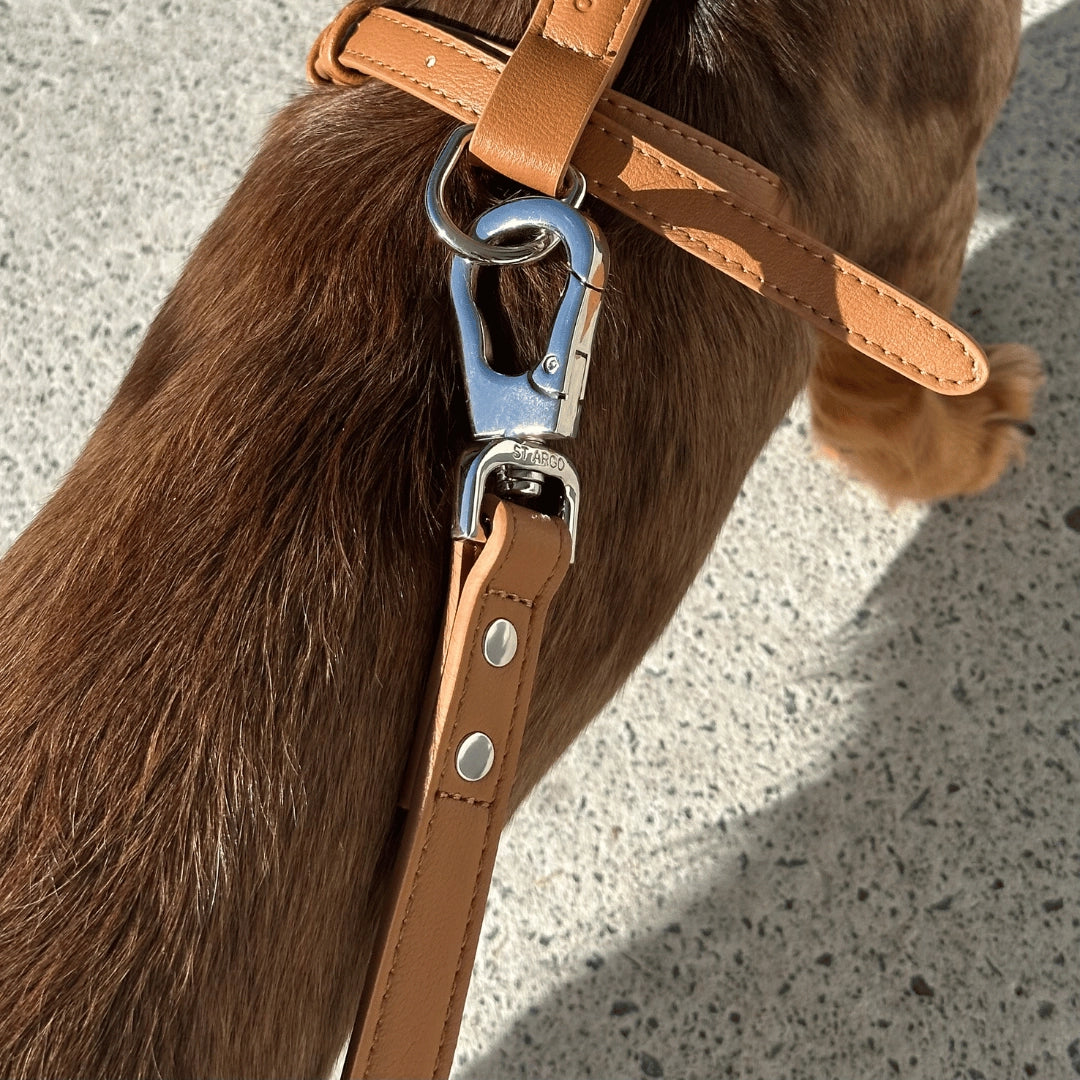 Leash | Caramel