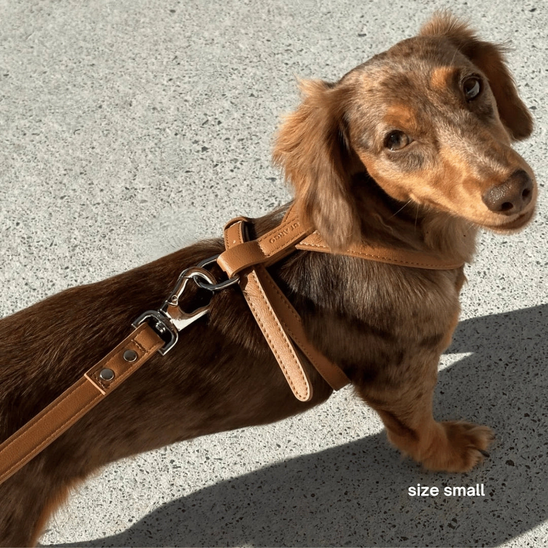 Harness | Caramel