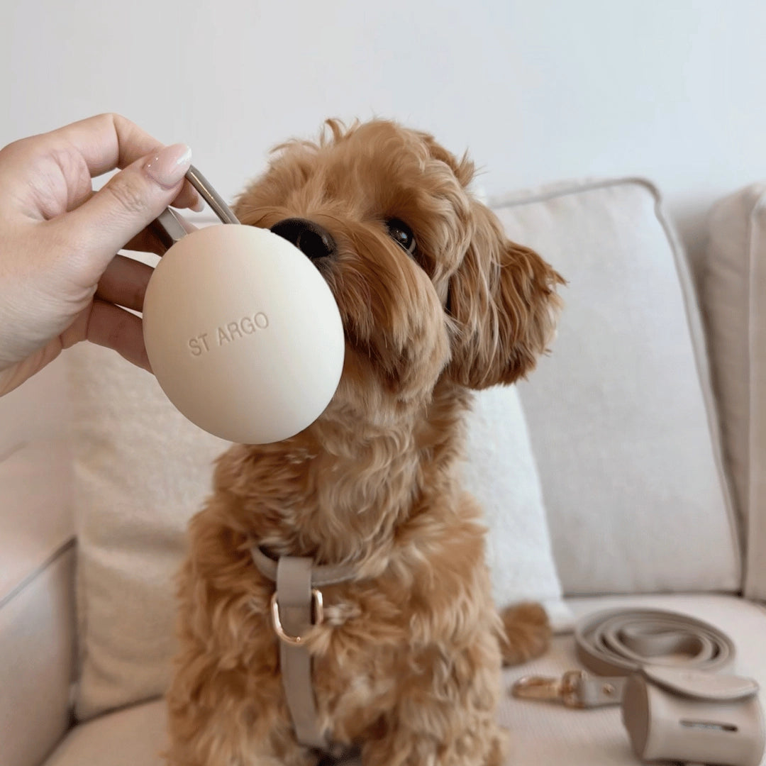Treat Pouch | Cream