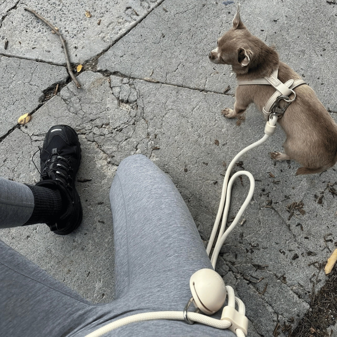 Treat Pouch | Cream
