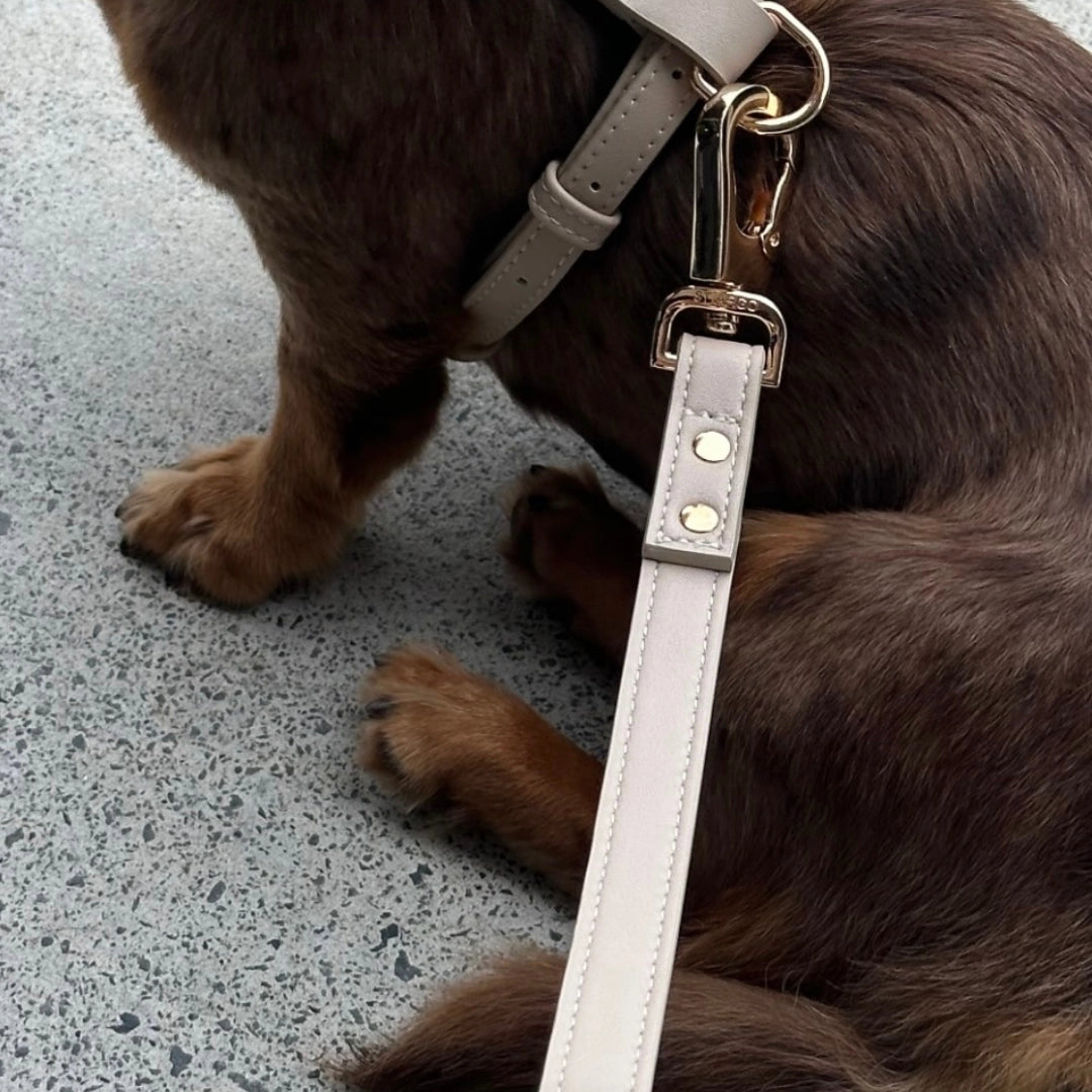 Leash | Cream