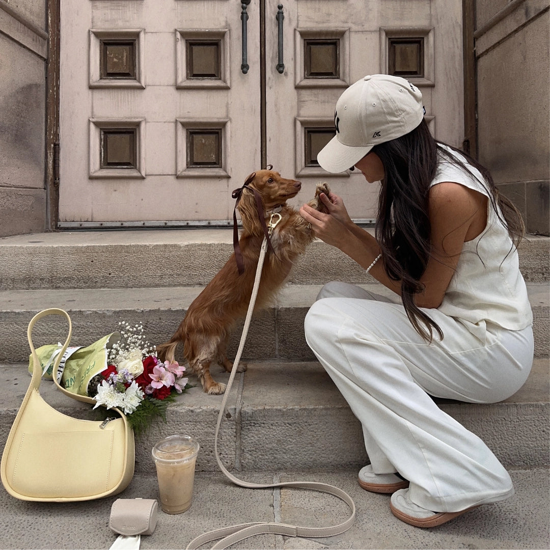 Leash | Cream
