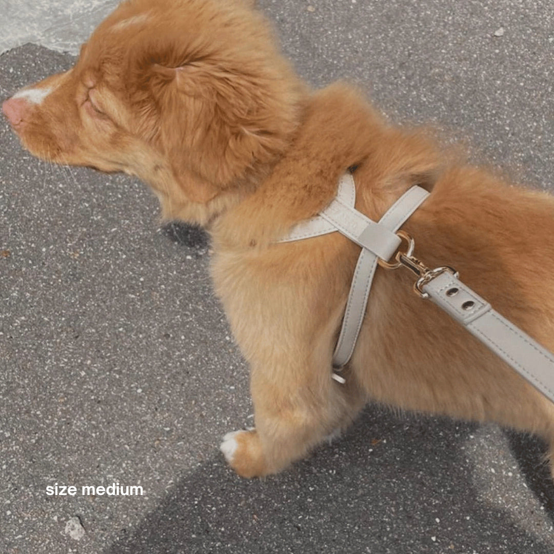Harness | Cream