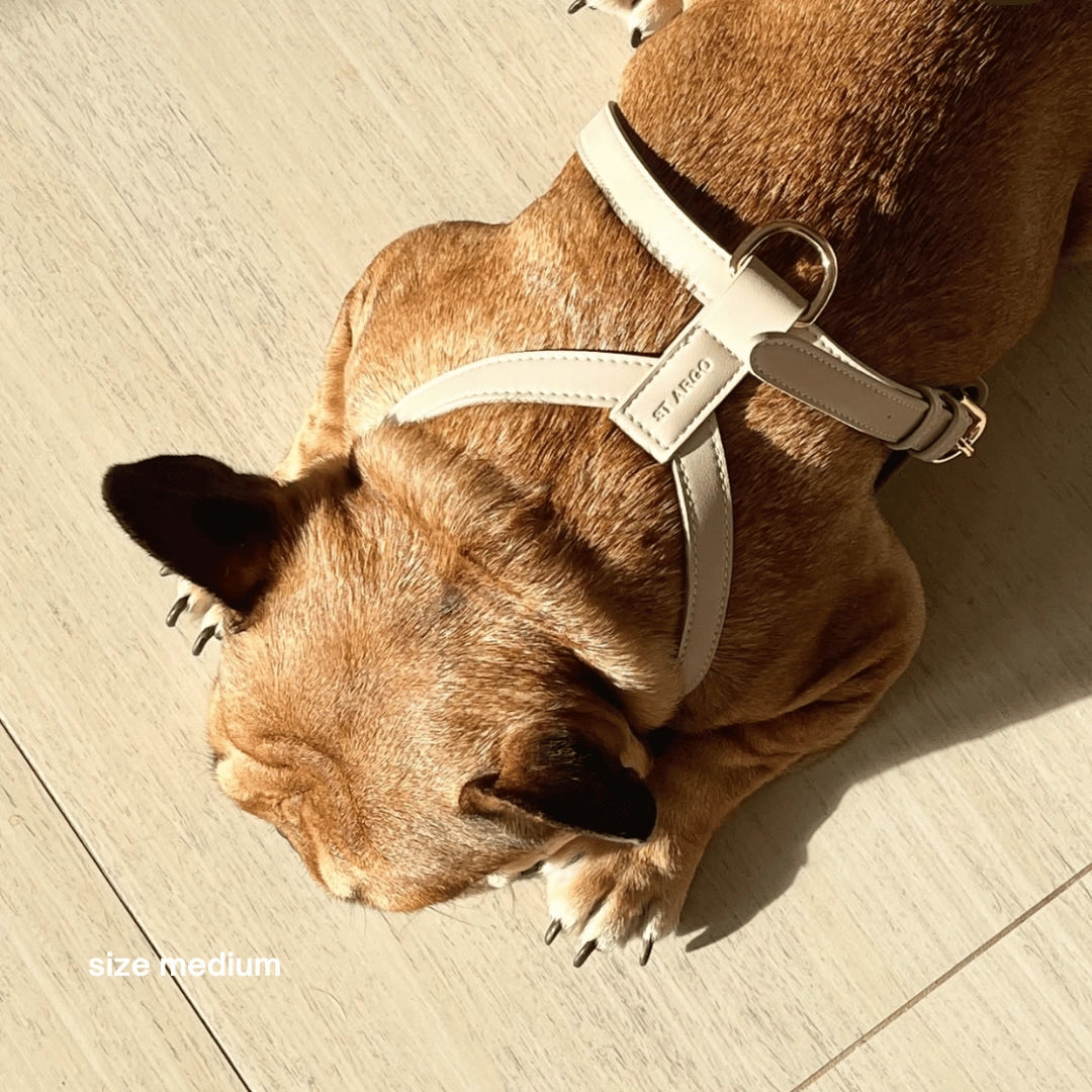 Harness | Cream