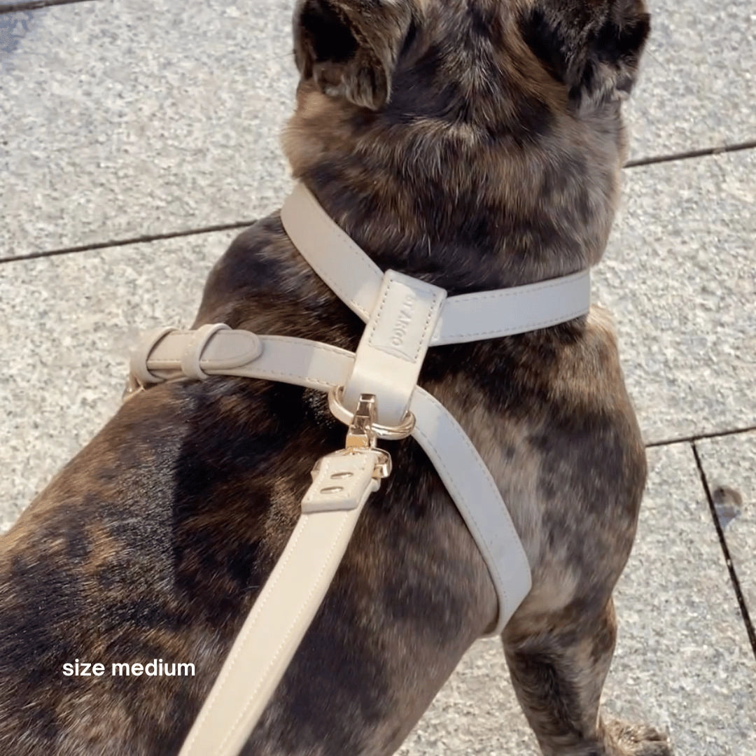 Harness | Cream