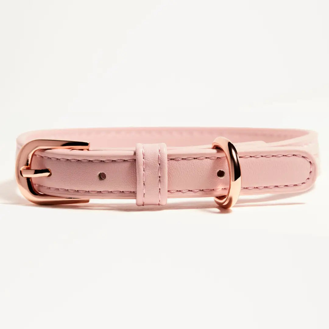 Collar | Pink