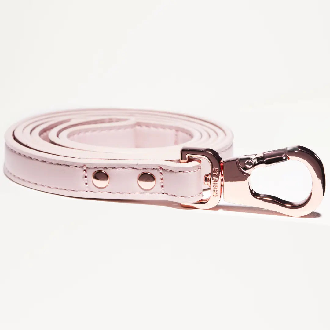 Leash | Pink