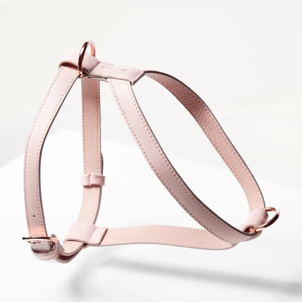 Harness | Pink