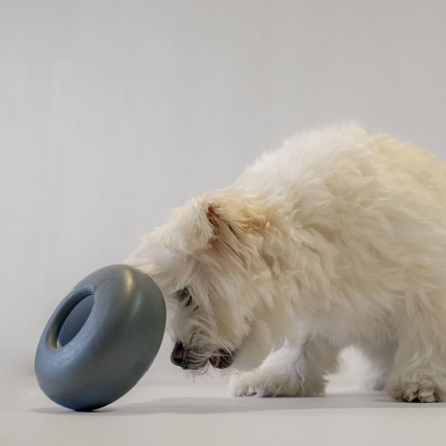 Pebble Enrichment Toy | Pink