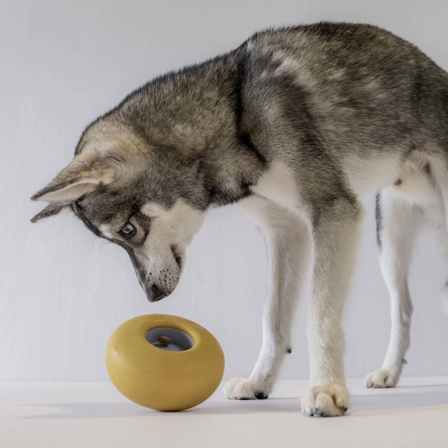 Pebble Enrichment Toy | Pink